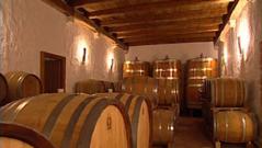 Vignoble Croate