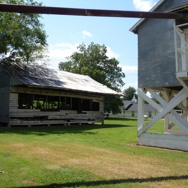 Une ancienne plantation de coton 
