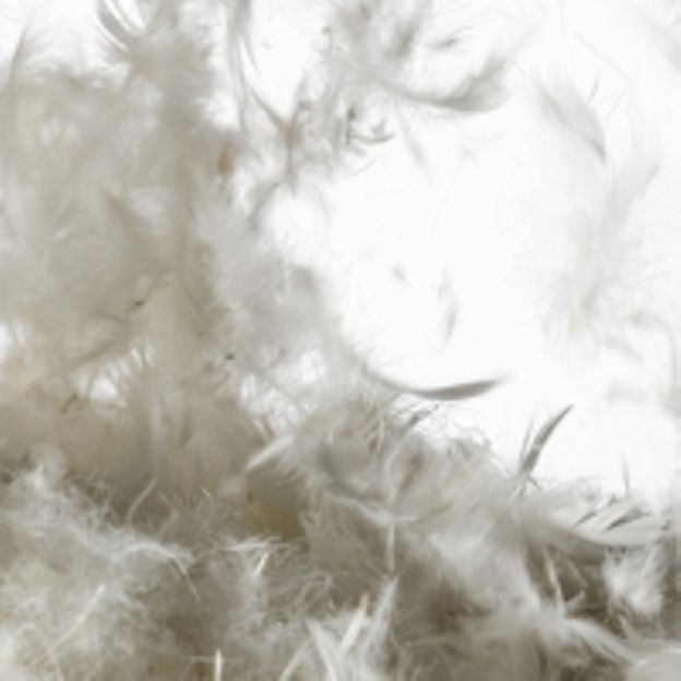 Sortez de vos plumes ! Bruxelles Nuit Blanche 2012