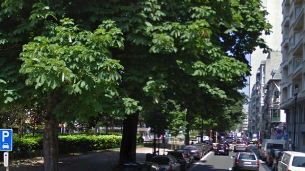 L’avenue Louise compte près de 300 marronniers. 