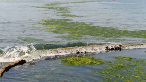 Quand la mer submerge les digues