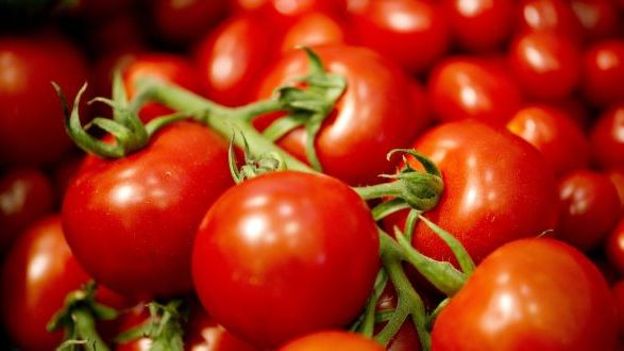 Illustration : des tomates