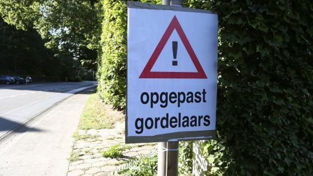 Un dernier Gordel sous haute tension