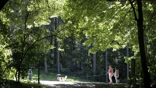 Un début de semaine ensoleillé avant le retour des nuages