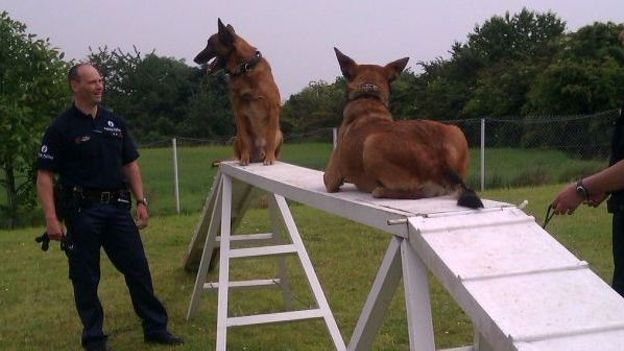 La carrière de chien de sécurité à la STIB : un métier d'avenir pour le meilleur ami de l'homme