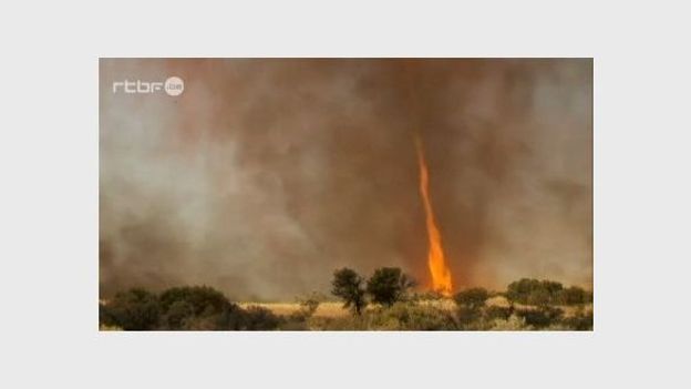 La tornade de feu