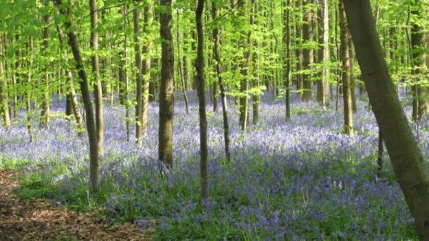 L'impact du réchauffement du climat serait sous-estimé