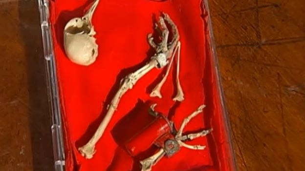 Le message du pigeon XO2 a été rétrouvé... près de 70 ans après