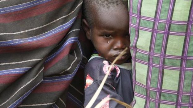 La Corne de l'Afrique reste une zone frappée par la famine.