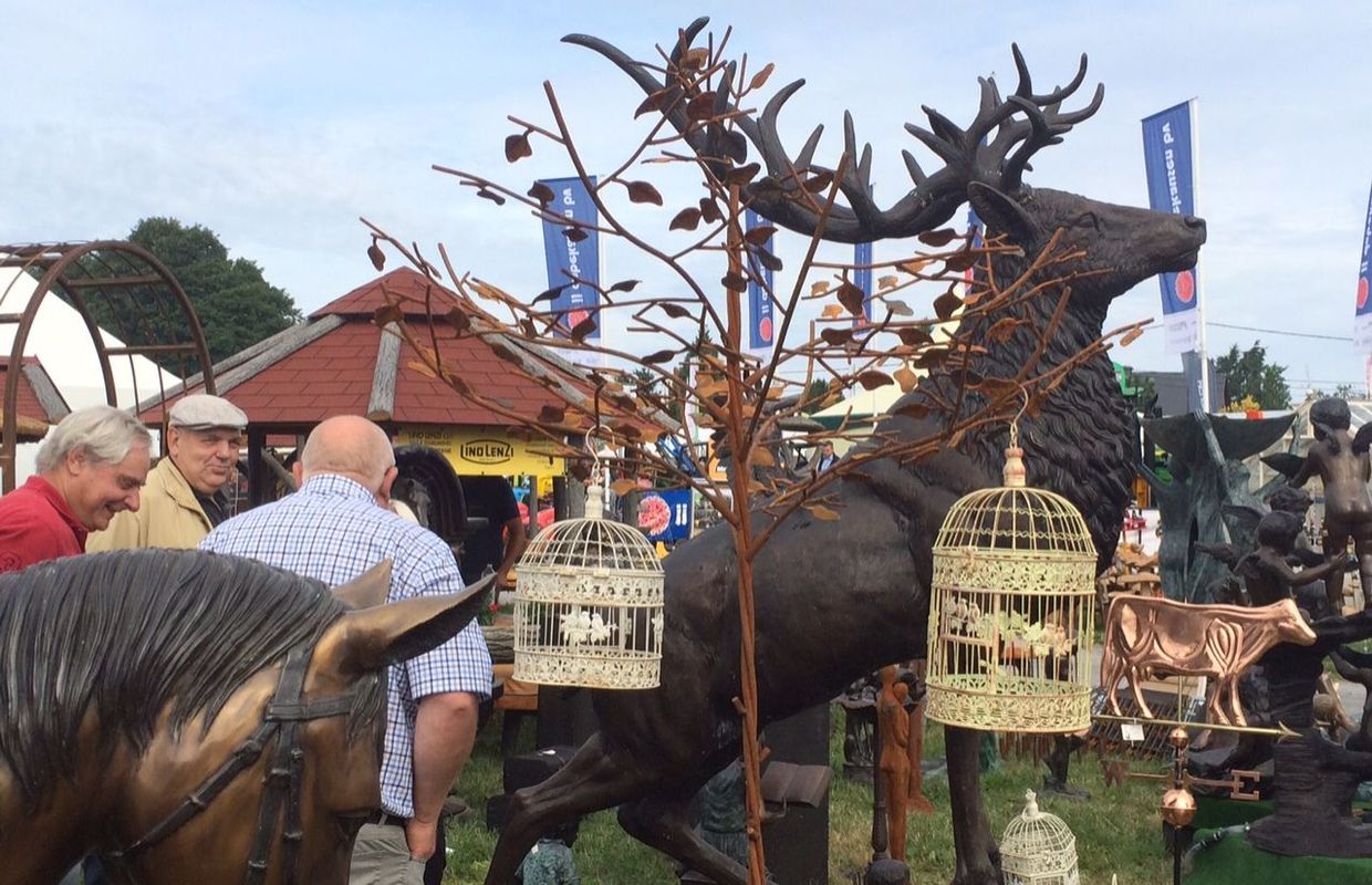 rencontre de cerf