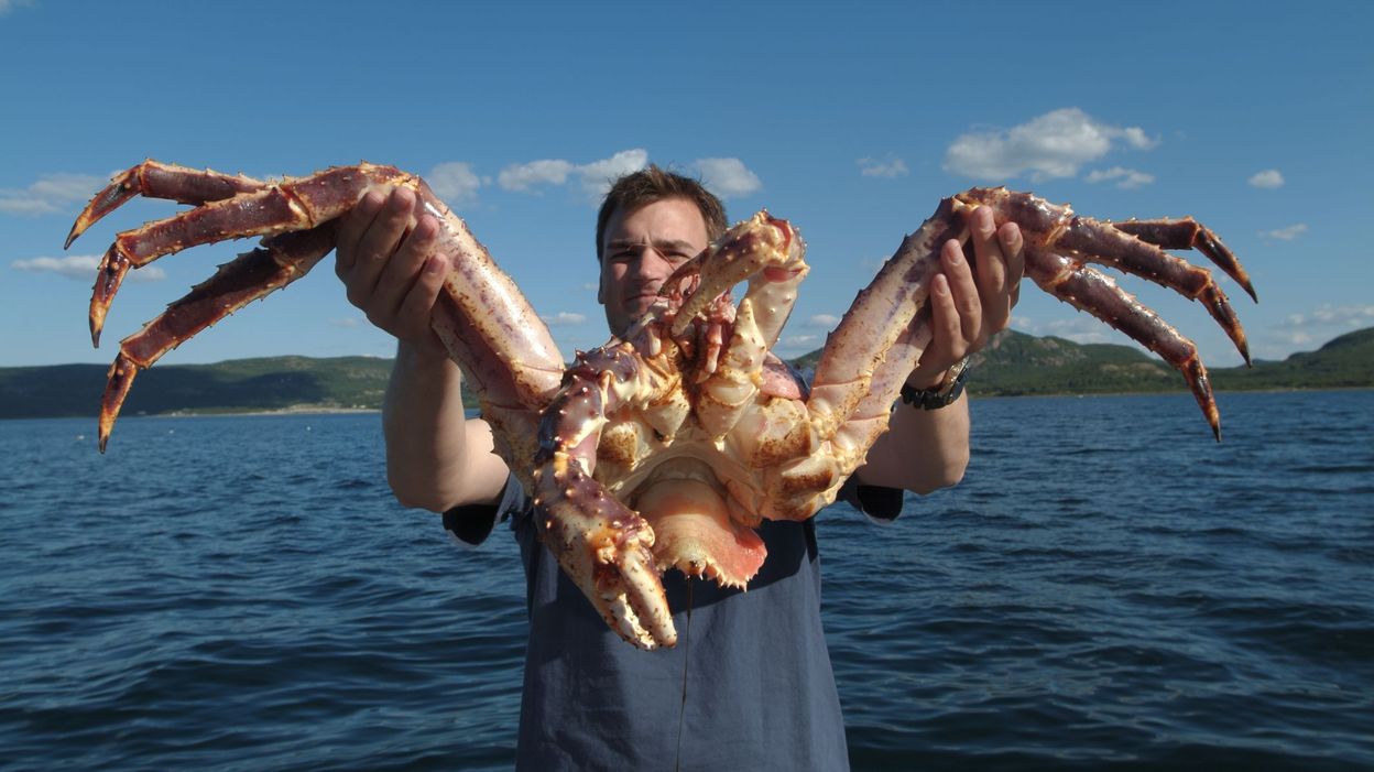 Comment Tuer Le Crabe Geant Dans The Island
