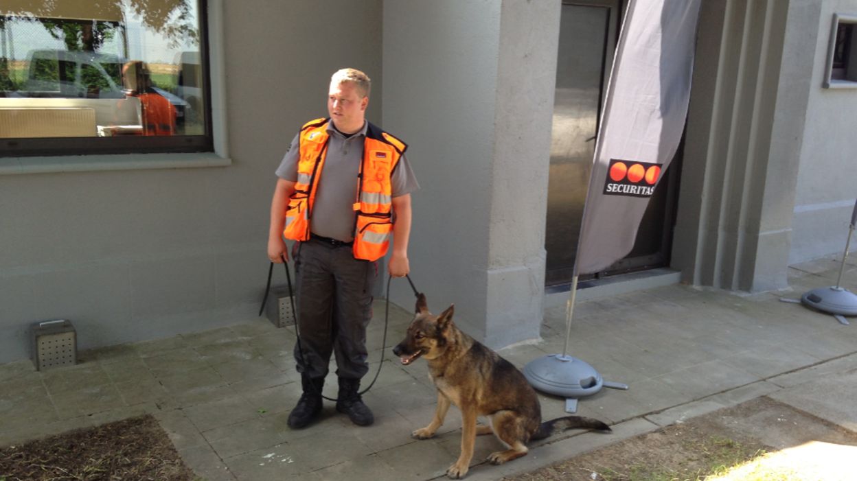 Un centre de formation pour chiens détecteurs d'explosifs Un centre de formation pour chiens détecteurs d'explosifs