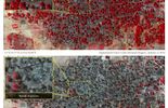 Nigeria: une mère prisonnière de Boko Haram décrit l'horreur à Baga