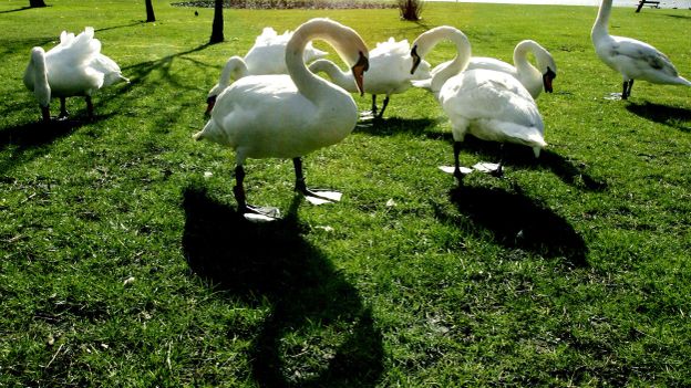 Site rencontre anglais londres