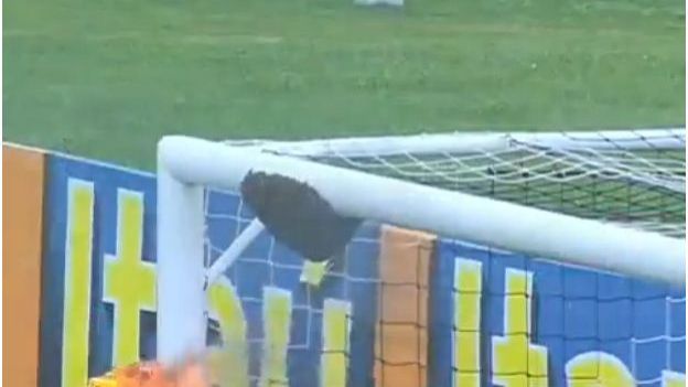 video foot insolite