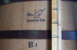 Qunita do Tedo 