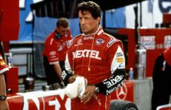 Stallone 
