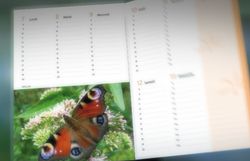 agenda 2012 