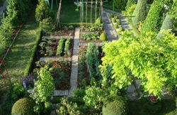 jardinage 