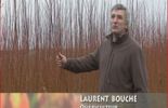 Laurent , le producteur d'osier dans les Ardennes françaises