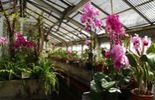 Bourse aux plantes au Jardin botanique de Liège