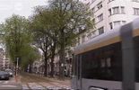Comment préserver la nature dans les villes ?