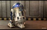 Une perruche imite R2D2, un chien et un chat chantent Gotye