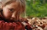 Cinéma : A pas de loup