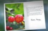 agenda 2012 