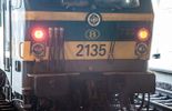 SNCB: 3h40 de retard par jour à cause des promeneurs le long des voies