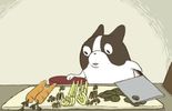 Adorable dessin animé avec chien qui cuisine