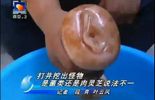 Photos et vidéo: le champignon était en fait un faux vagin