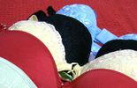 Les sous-vêtements