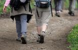 Planète : marcher, c'est bon pour la santé