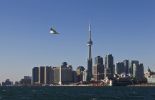 123 Canada et Etats-Unis: sept millions d'oiseaux victimes des tours radio