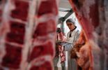 123 Viande de boeuf au cheval: la Belgique est concernée