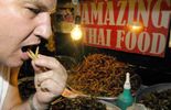 123 "Elevez et mangez des insectes", recommande la FAO