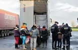 123 Europe: un important réseau d'immigration clandestine démantelé