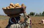 123 Spéculer sur l'alimentation, pourquoi est-ce permis? Chat ce jeudi à 12h