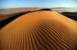 123 Les Emirats arabes unis ont démantelé une cellule d'Al-Qaïda