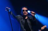 123 Le chanteur Daniel Darc, ancien leader de Taxi Girl, est décédé à 53 ans
