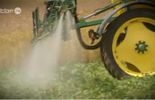 123 Focus: pesticides, les alternatives