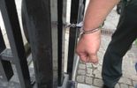 123 "Troïka, dégage": des militants s'enchaînent aux grilles du Parlement