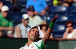 Djokovic retrouve Querrey, son dernier bourreau