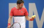 Tipsarevic tombe encore d'entrée