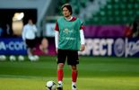 Rosicky incertain pour les quarts