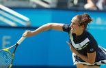 Vinci enlève le titre à Rosmalen