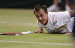 Rosol, le tombeur de Nadal, balayé par Kohlschreiber