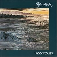 Moonflower 
