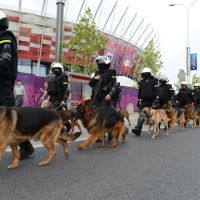 Incidents avant Pologne-Russie